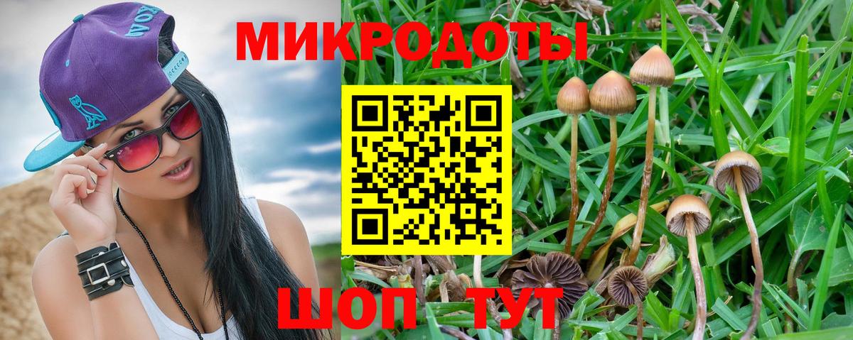 Саратов  Галлюциногенные грибы мицелий  Вход с VPN  Галлюциногенные грибы Psilocybine cubensis 