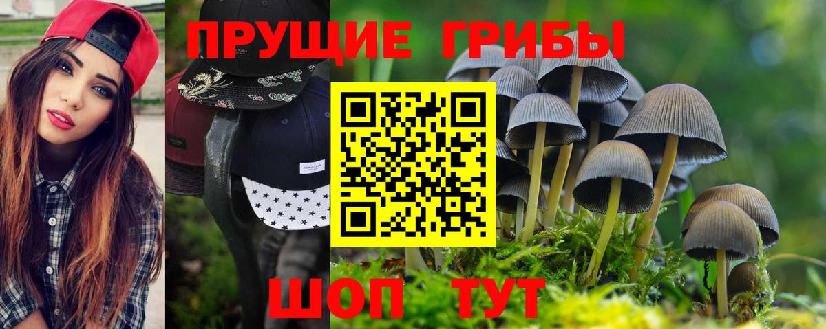 Галлюциногенные грибы мицелий Саратов
